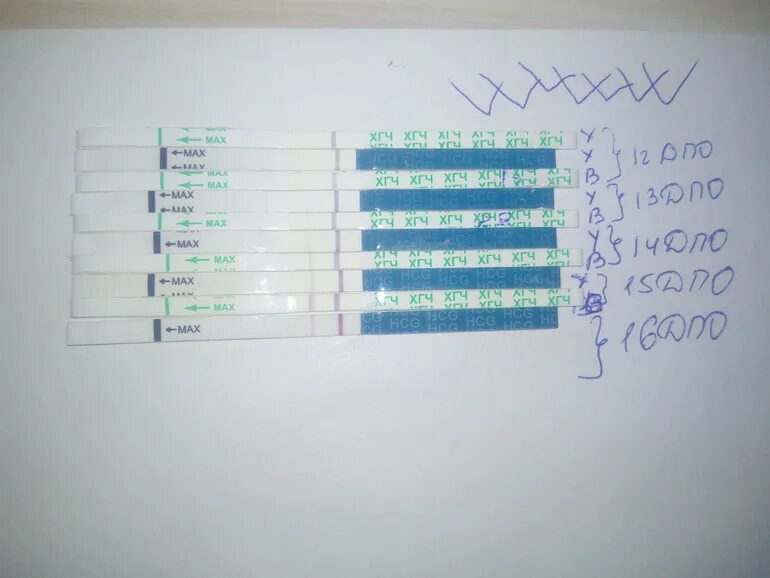 Тесты ДПО. Тест на беременность на 12 день после овуляции. 14 ДПО тест. 7 День ДПО покажет ли тест на беременность. 13 после овуляции