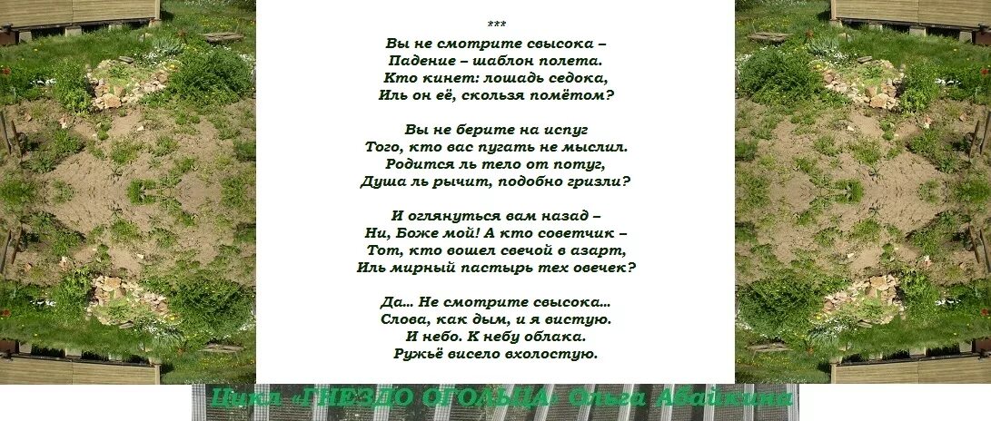 Не смотрите свысока цитаты. Глядит свысока. Гнездо цитаты. Не думай о секундах свысока текст. Минуты свысока