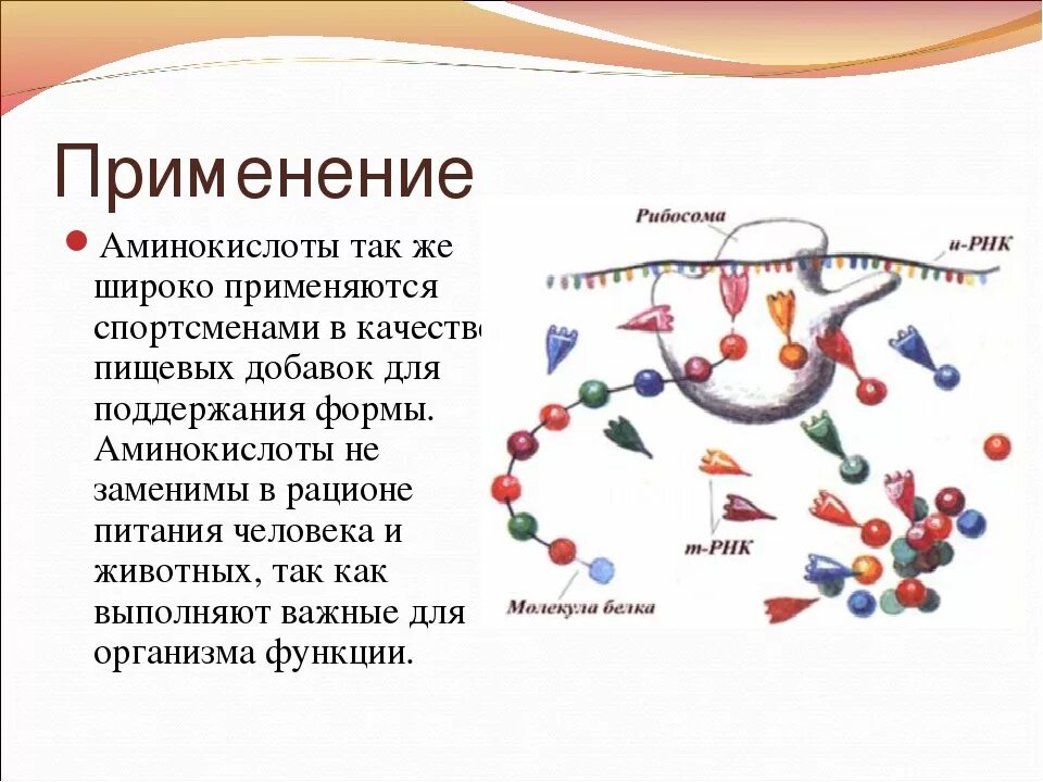 Использование аминокислот. Применение аминокислот. применение аминокислот и белков. дефицит аминокислот. аминокислоты в медицине кратко.