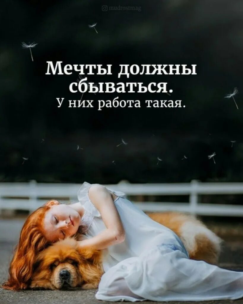 Выражение быть мечта. Мечты сбываются. мечтайте мечты сбываются. цитаты про мечты и желания. статусы про мечты и желания.
