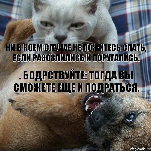Следует ни в коем случае. Бодрствуйте тогда вы сможете еще и подраться. ни в коем случае не ложитесь спать если разозлились. ни в коем случае не. не в коем случае или ни в коем.