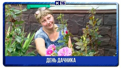 Дачник орехово зуево