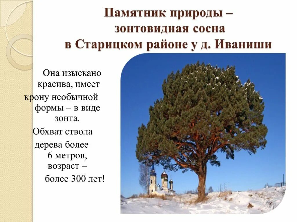 Памятник природного значения. Памятники природы проект. Сообщение о памятнике природы. Памятники природы нашего региона. Памятники природы презентация.