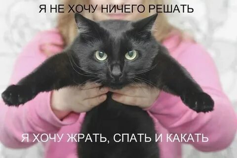 Хочу решу