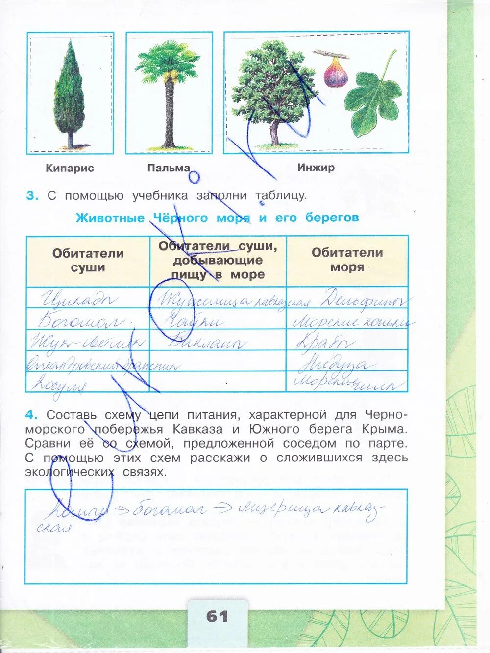 Окружающий мир 4 класс рабочая тетрадь ракета. Окружающий мир 4 класс рабочая тетрадь 1 часть Плешаков стр 61. Окружающий мир 4 класс рабочая тетрадь 1 часть стр 61 2 таблица. Окружающий мир 4 класс рабочая тетрадь 1 часть стр 61 номер 1 таблица 2.