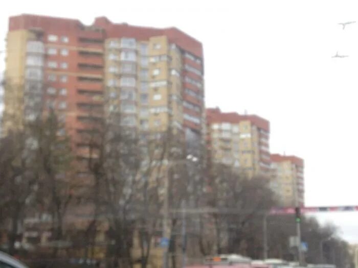 Красный город сад ростов-на-дону. Красные клены в японии. Тюлип город. Красный город сад. Красный город сад.