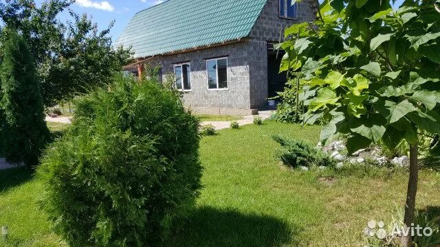 погода в чужиково