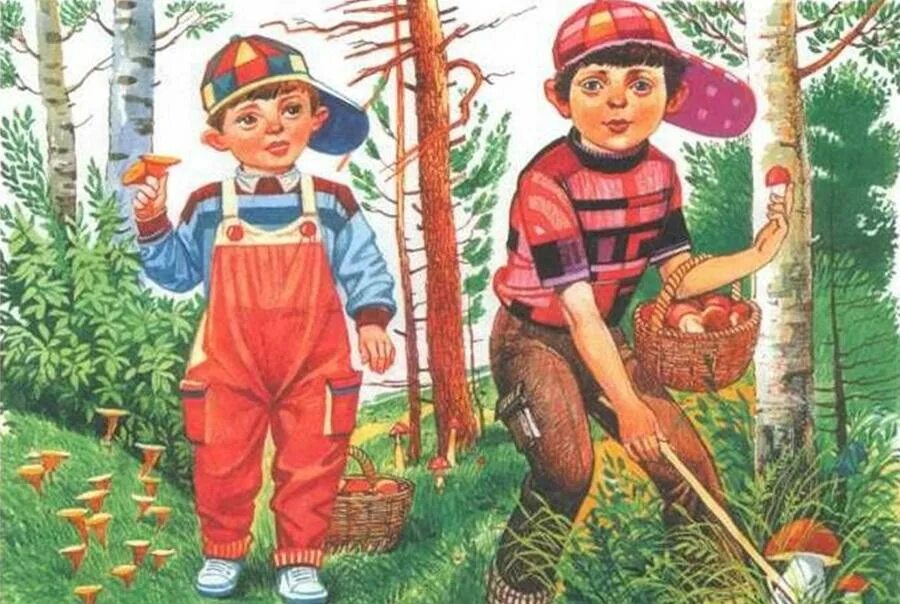 Мальчики пошли. Мальчик собирает грибы в лесу. Сюжетные картины для детей. Сюжетная картина дети в лесу. Дети собирают грибы в лесу.