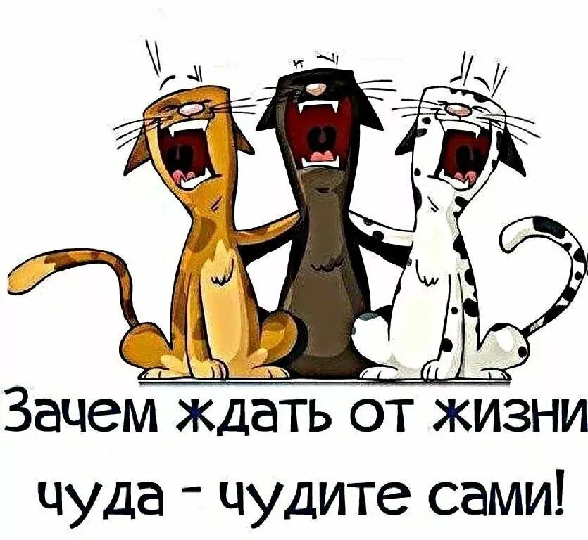 Не жди чуда чуди сам картинка. Не ждите чуда чудите сами. чудите сами с прикольными картинками. открытка не ждите чуда чудите сами. чудо в жизни чудите сами.