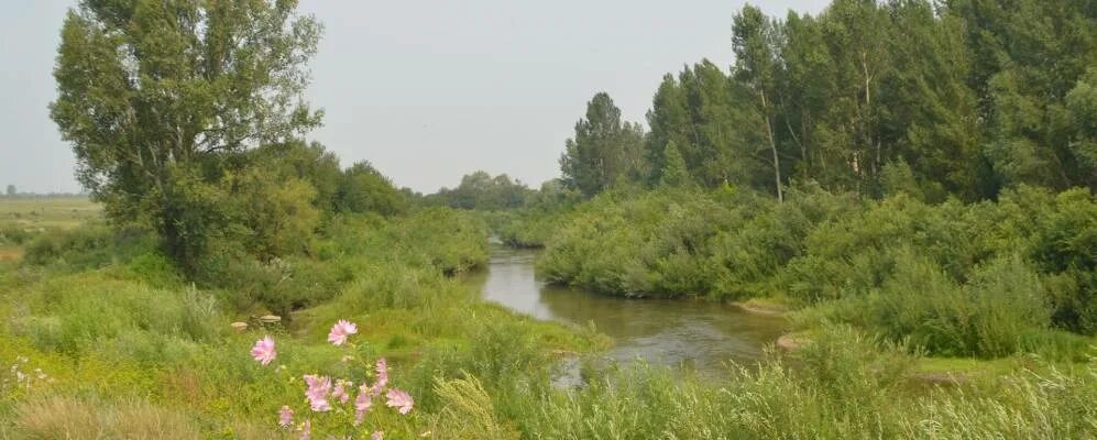 Ивановка курьинский район