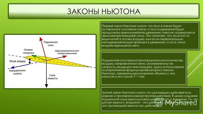 Подъемная сила крыла закон. 1 Закон Ньютона. 3 Закон Ньютона. Уравнение Бернулли и подъемная сила крыла.