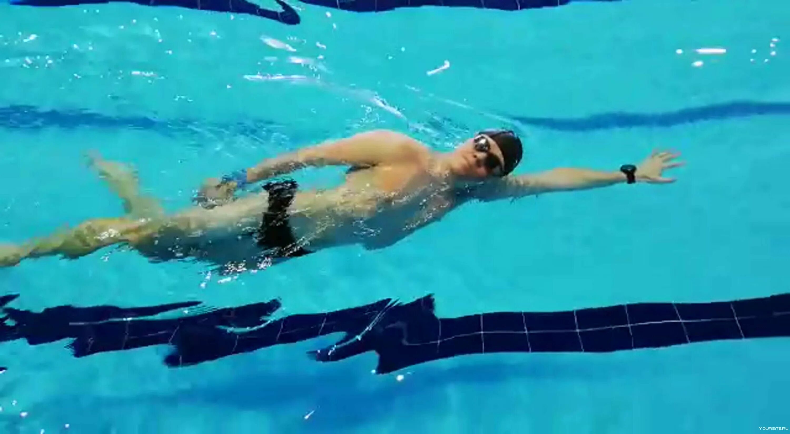 Плавание брасс кроль баттерфляй. Разминка перед плаванием в бассейне. Видео уроки плавания. Плавание видео уроки. Уроки плавания для начинающих взрослых видео бесплатно смотреть.
