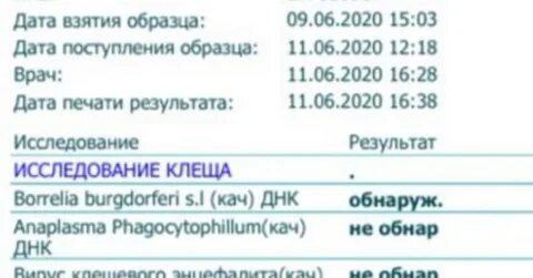 Анализ клеща инвитро