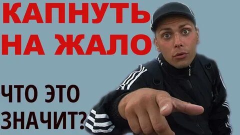Фене ботал