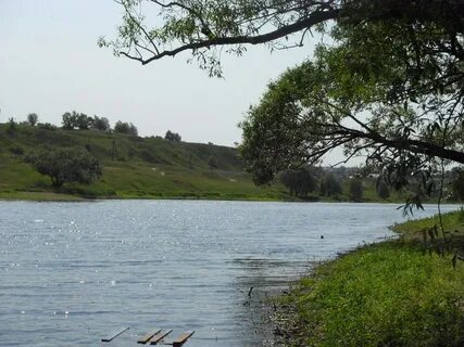 Лужки орел