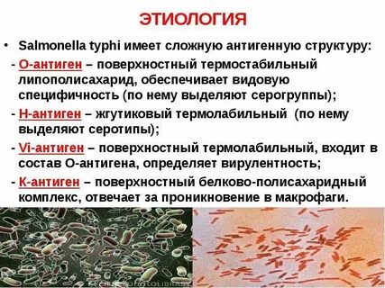 Антигенная структура сальмонелл