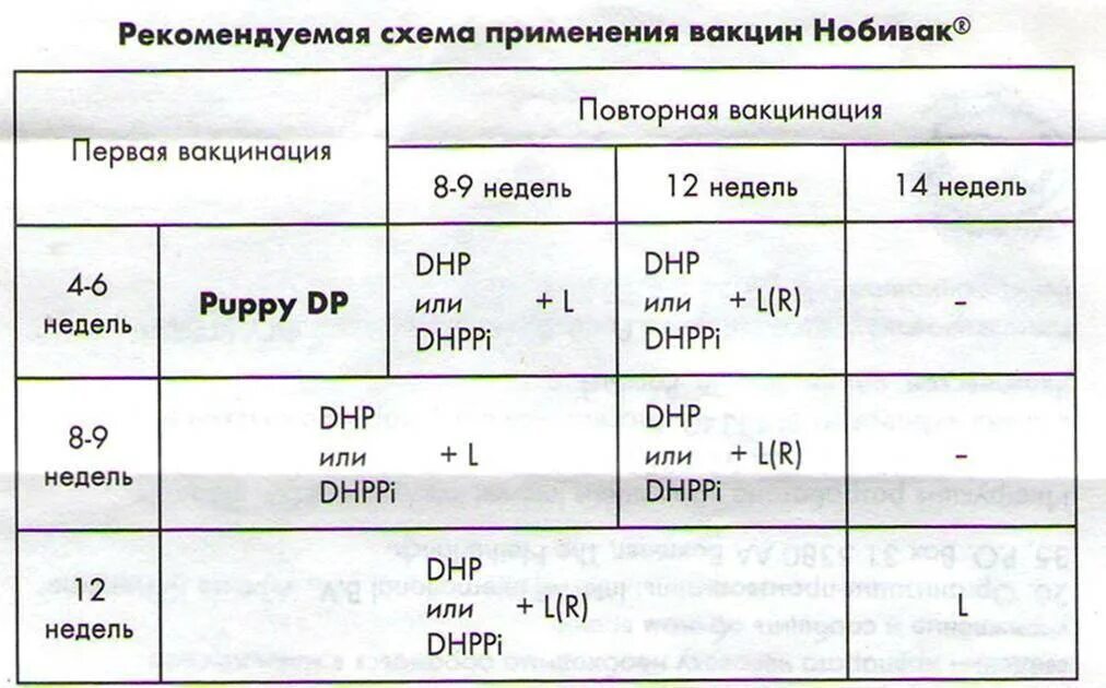 Схема прививок Nobivac для щенков. Нобивак схема вакцинации щенков. Прививка Нобивак для щенков схема вакцинации щенков. Схема прививок Нобивак для щенков.