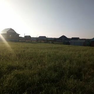 14 сот