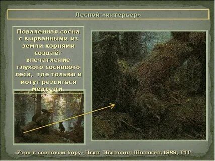 Презентация утро в сосновом лесу 2 класс