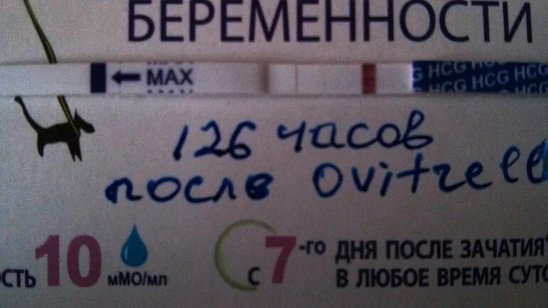 После полового акта через сколько делать тест. Тест на беременность. тест после зачатия. тесты на беременность по дням. тест на беременность если беременна.