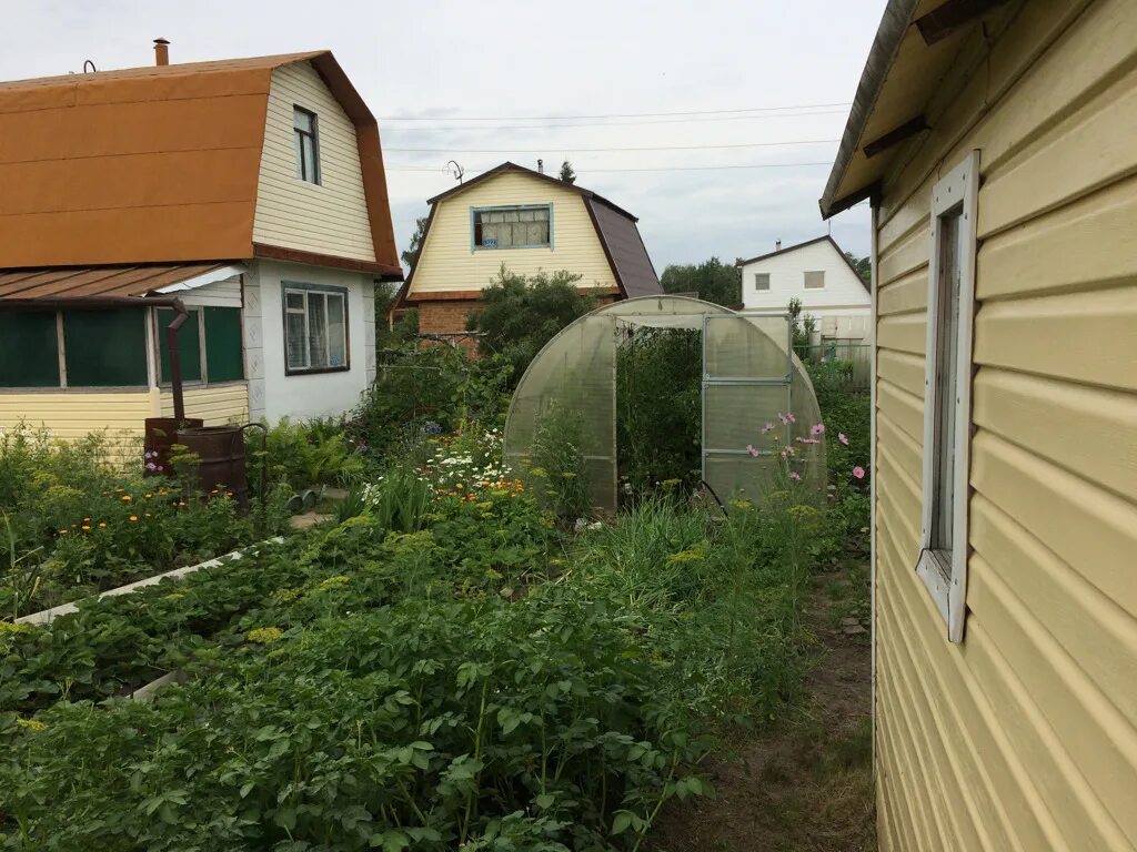 восток дачи. недорогие хорошие дачи. нгс недвижимость новосибирск дачи. дачи кировский новосибирск. 89184412510 продам дачу.