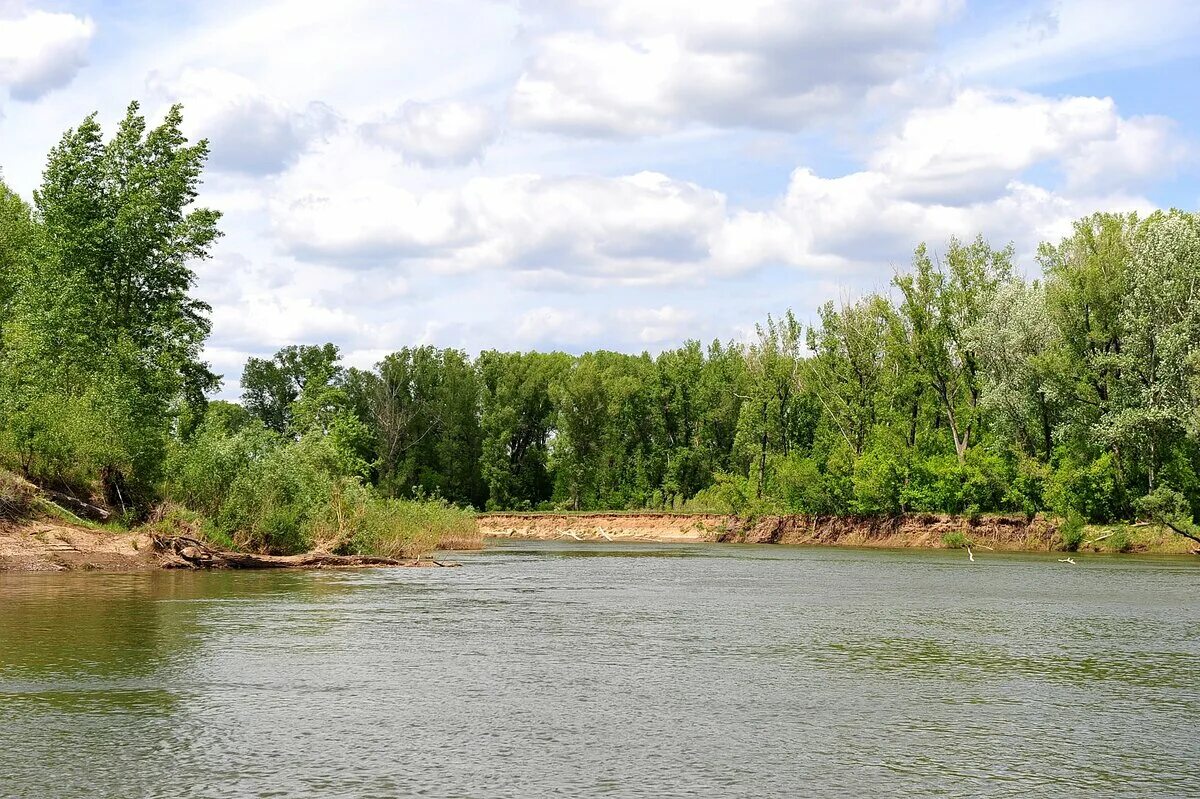 Река блява оренбургская область. Сакмара село. Пойма реки сакмара. Большой ик река в башкирии. Пойма реки сакмара.