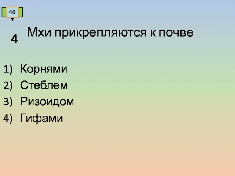 Прикрепляется к почве с помощью ризоидов. Прикрепляется к почве с помощью ризоидов