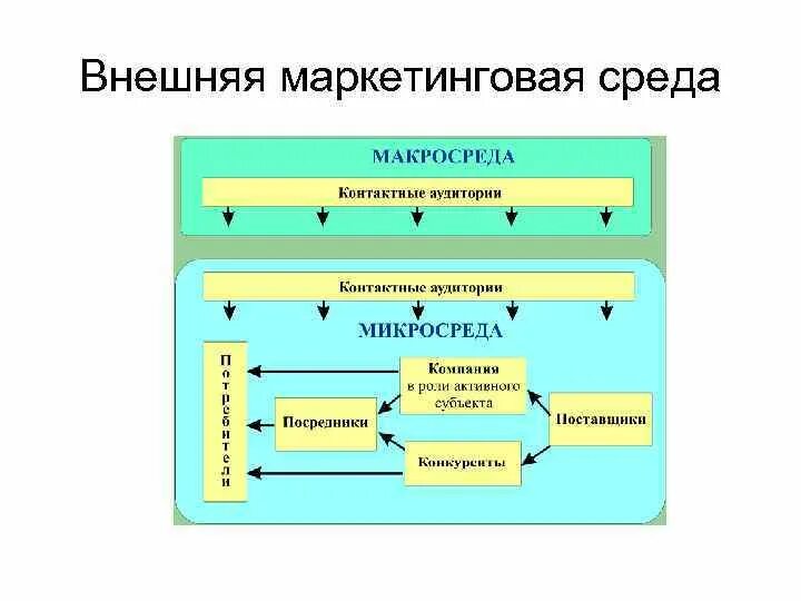 Внешней и внутренней среде определение