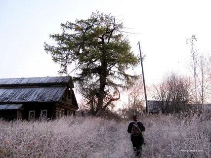 Погода в новой шомохте нижегородской