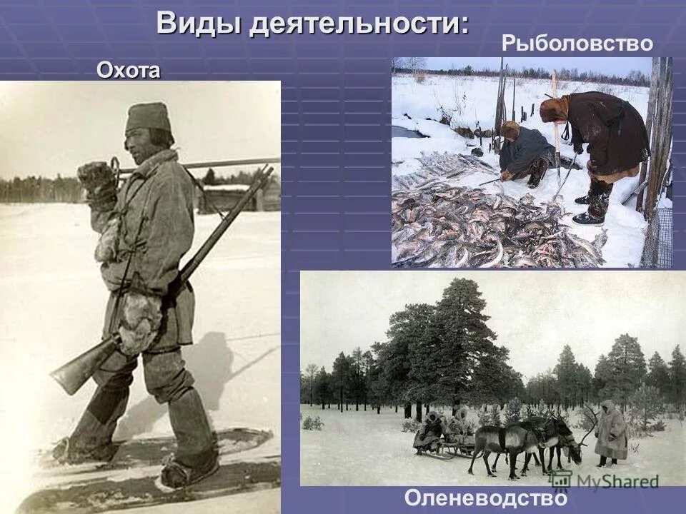 Коми пермяки охота. Река печора рыбалка. Рыбалка на реке печора республика коми. Рыболовство коми народа. Коми пермяки охота.