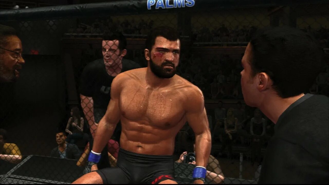 Ufc 3 логотип. Ea sports ufc 2010. Ufc undisputed 3 xbox 360. Ufc undisputed 3. Юфс андиспьютед 3.