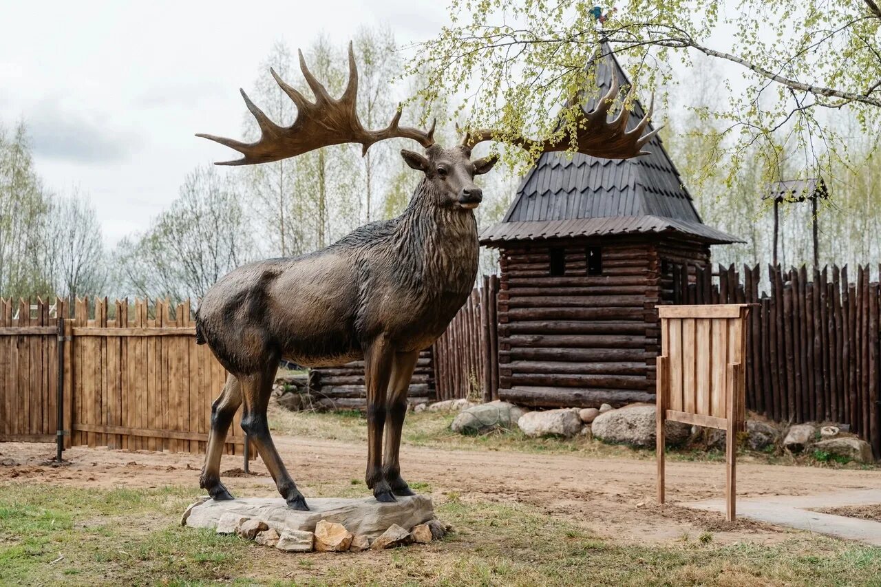 Оленья ферма Тверь. Олень музей Пржевальского. Скульптуры Твери. Гигантский олень Альбион. Оленья ферма судимир