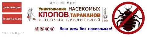 Вопросы дератизации