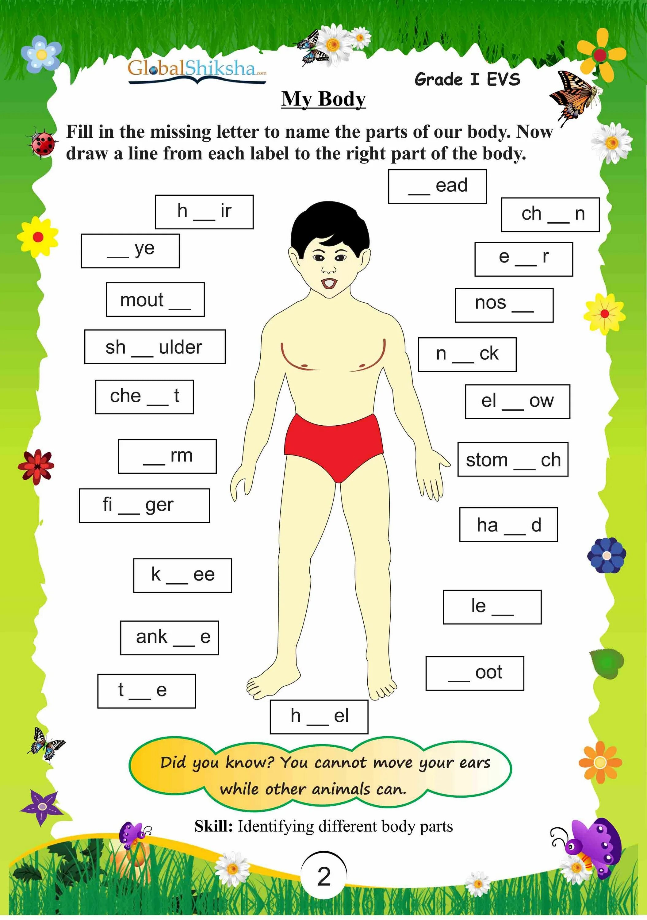 Body Parts упражнения. Body Parts in English for Kids. Bodyparts tasks for Kids. Parts of the body 2 Grade. The game has parts