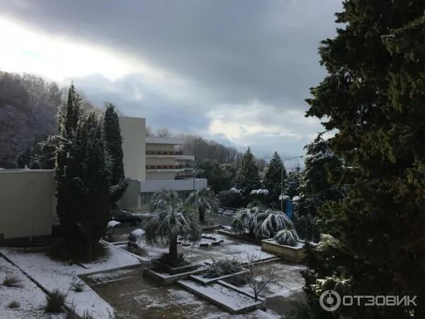 Отзыв о Санаторий "Прогресс" (Россия, Сочи) Райский уголок для тех, кто любит от