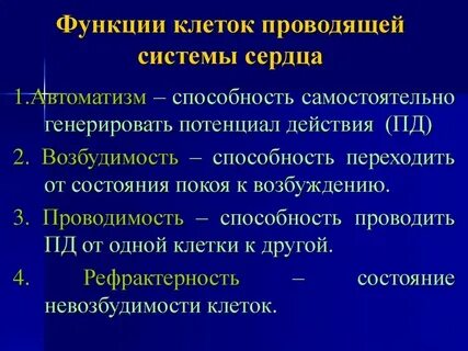 Основная функция проводящей системы