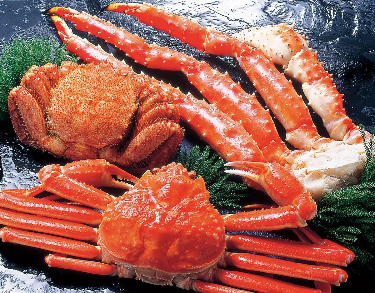 Тирамису краб дальневосточный. Краб целиком. Краб камчатский королевский спб. Камчатский краб живой. Краб камчатский живой~2кг.