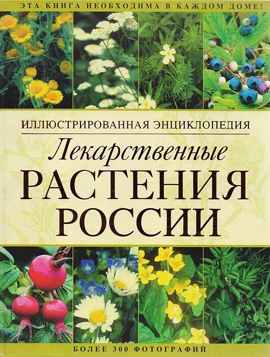 Книги про травы. Лекарственные растения. Энциклопедия лекарственных растений. Лекарственные растения книга. Лекарственные растения России книга.