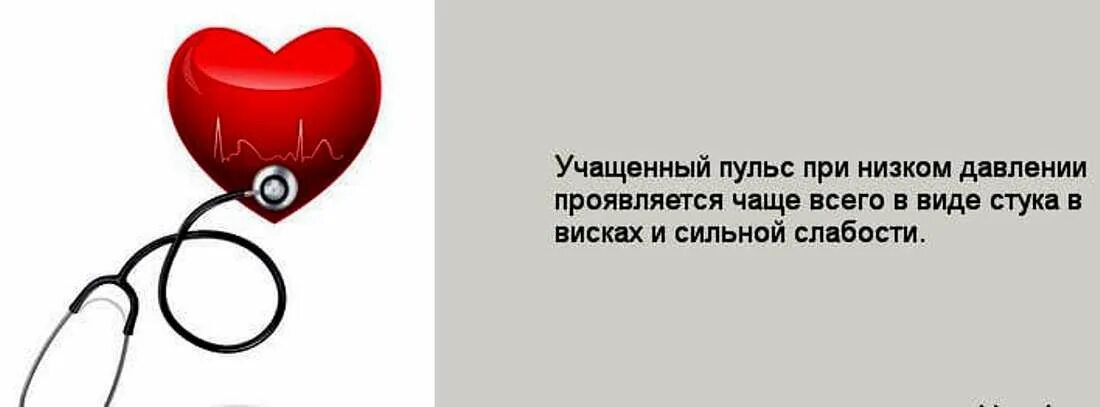 При высоком пульсе. Учащение сердцебиения. Причины учащенного пульса при низком давлении. Сердце давление.