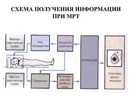 Схема мрт