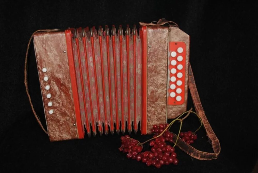 Гармонь тульская 1945 годов. Гармонь «заказная» c44xli. Гармонь тула 301м. Рос гармонь. Гармонь тульская 301м зеленая.