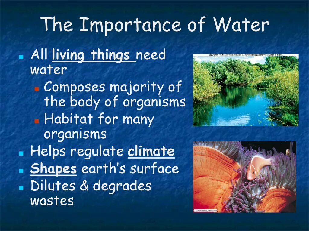 Water is the most important resource. Importance of water. the importance of water resources. importance of water in the body. водоемы на немецком языке.