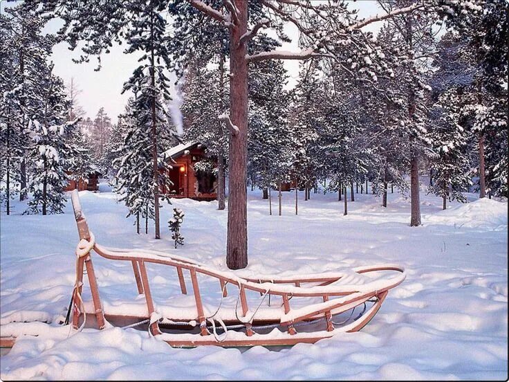 horse drawn sled images Horse drawn sleigh ride in Suzdo, Russia Four seasons