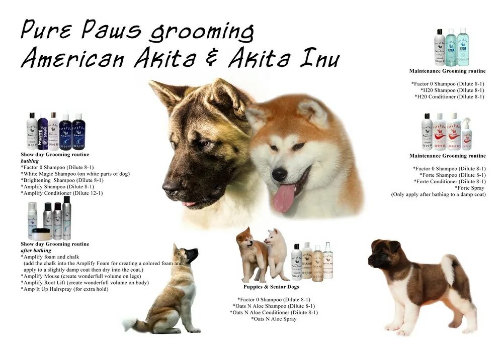 Американская акита рост щенка по месяцам. Таблица веса американской акиты. Акита ину стандарты вес параметры. Факты о акита ину. Акита американская характеристика рост.