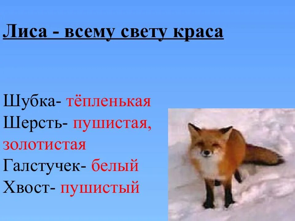 К.Д. Ушинского. Лиса Патрикеевна. Лиса для презентации. Презентация про лису. Презентация 2 класс о лисице.