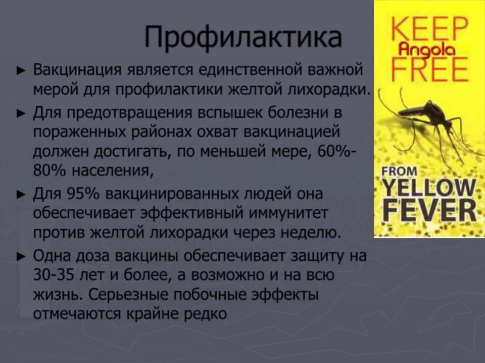 Желтая лихорадка что это. Желтая лихорадка что это