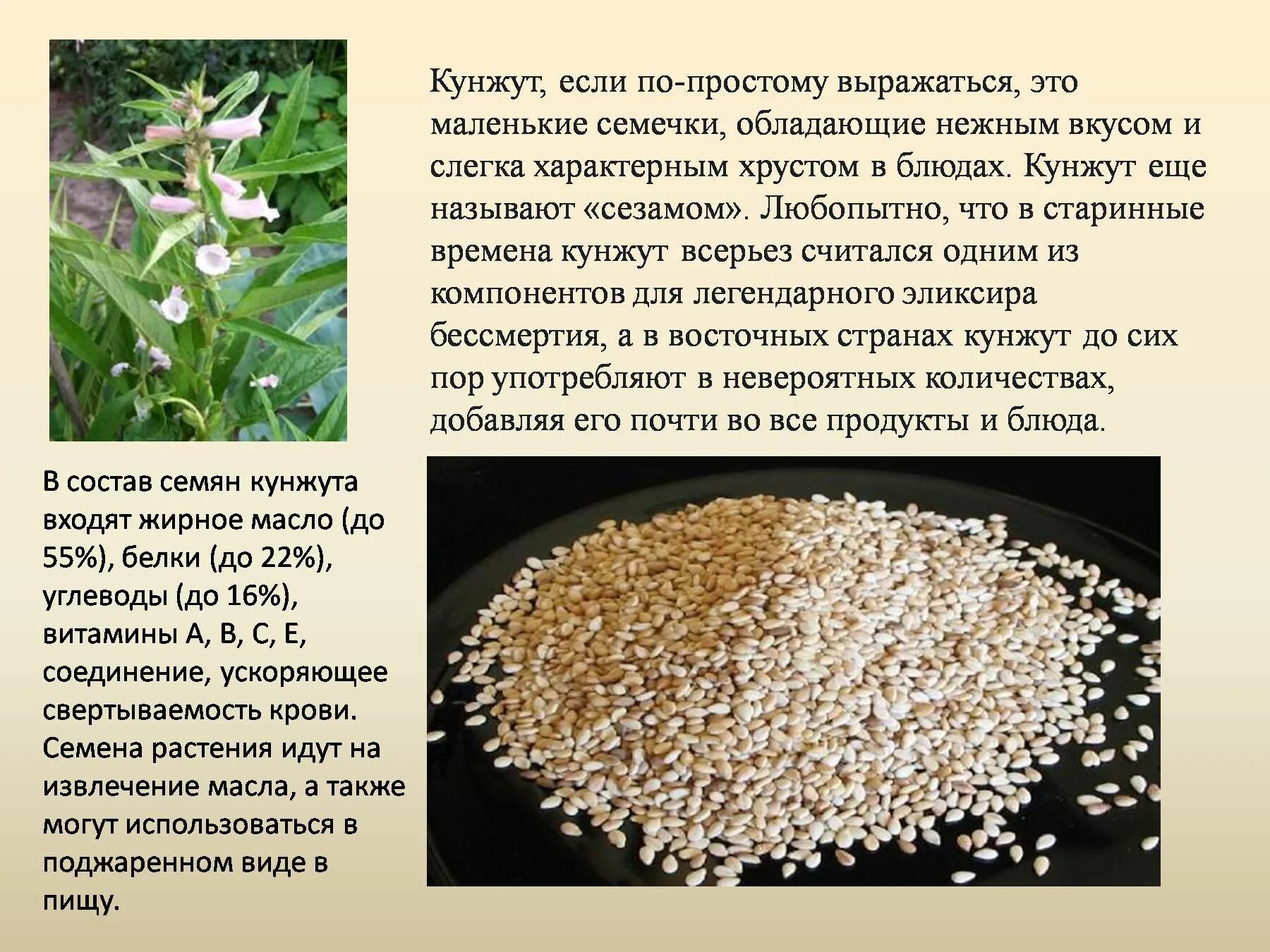 Кунжут витамины микроэлементы. Загадка про специи. кунжутное семя польза. чем полезен кунжут. кунжутные семена какое растение.
