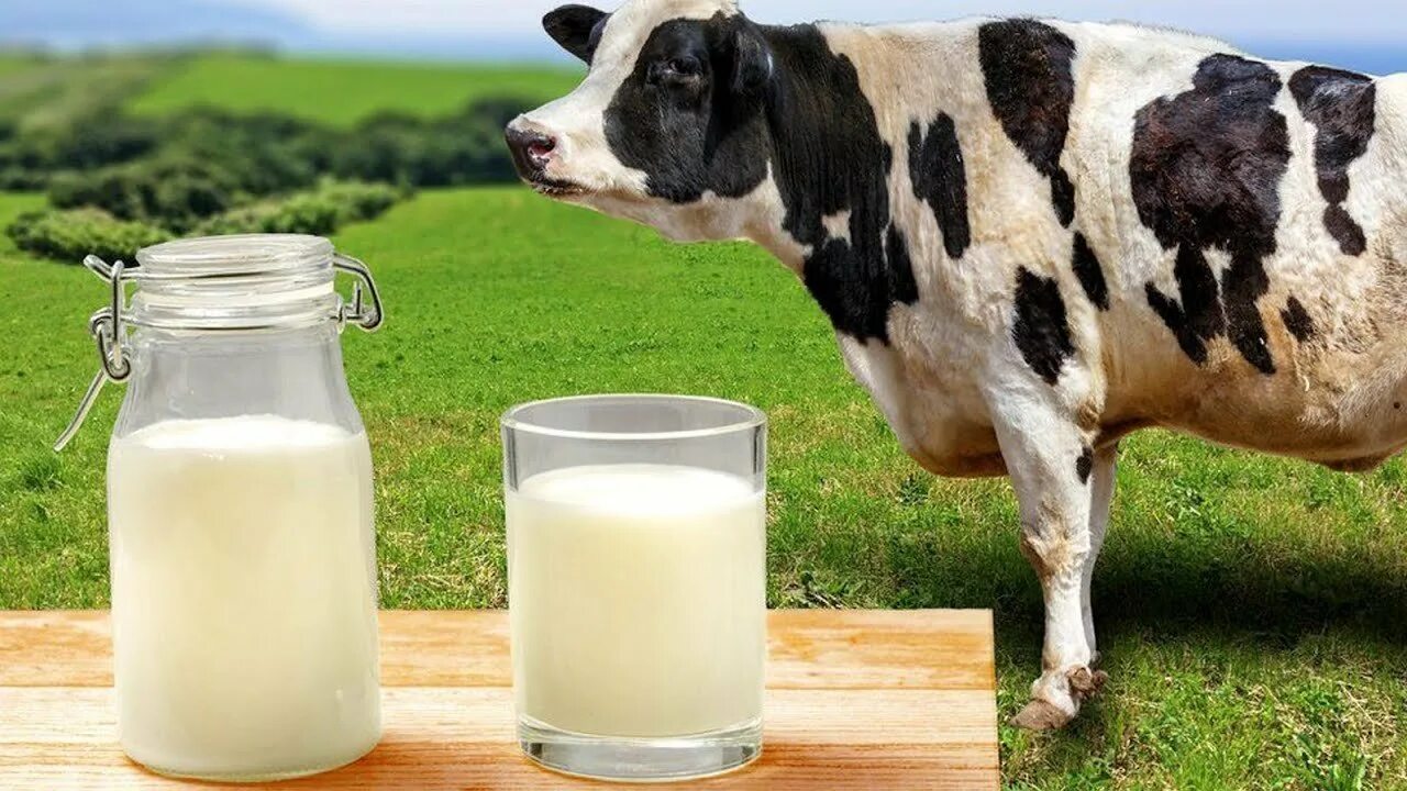 Реализуем молоко
