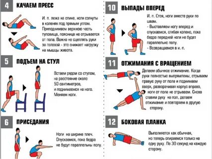 Физические упражнения на группы мышц