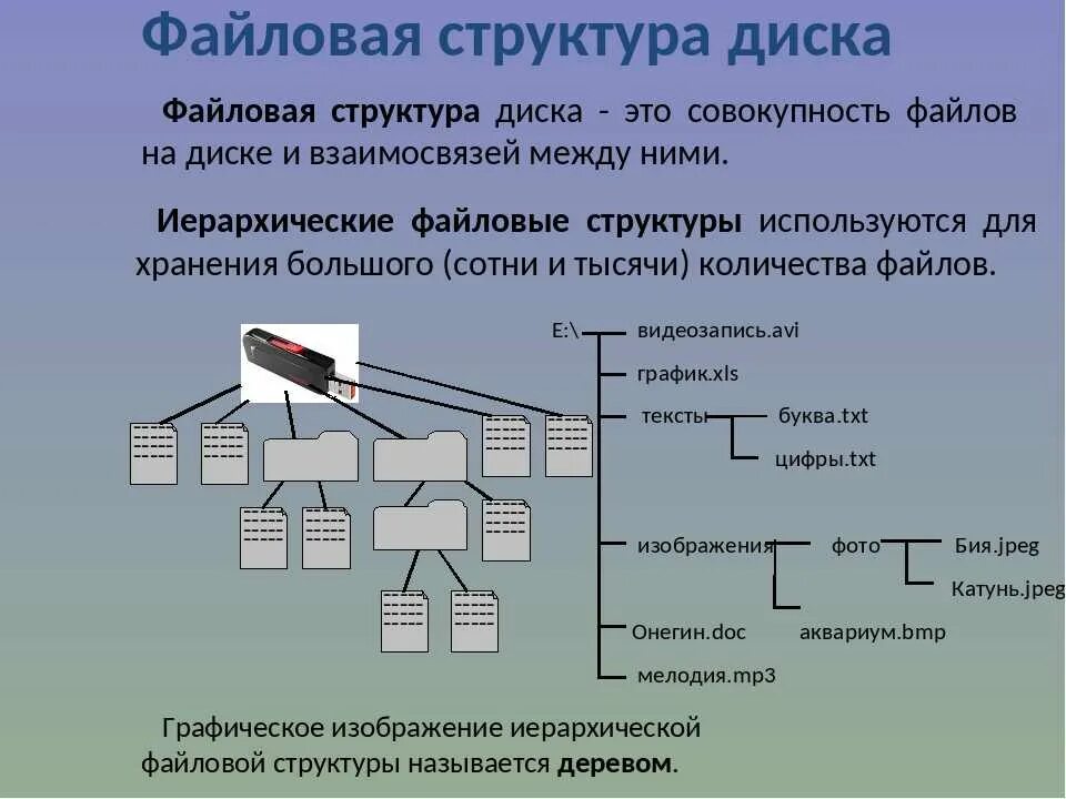 Файловая система 7 класс Информатика. Структура файловой системы на диске. Схема файловой структуры. Файловая структура диска. Файловые системы windows 7